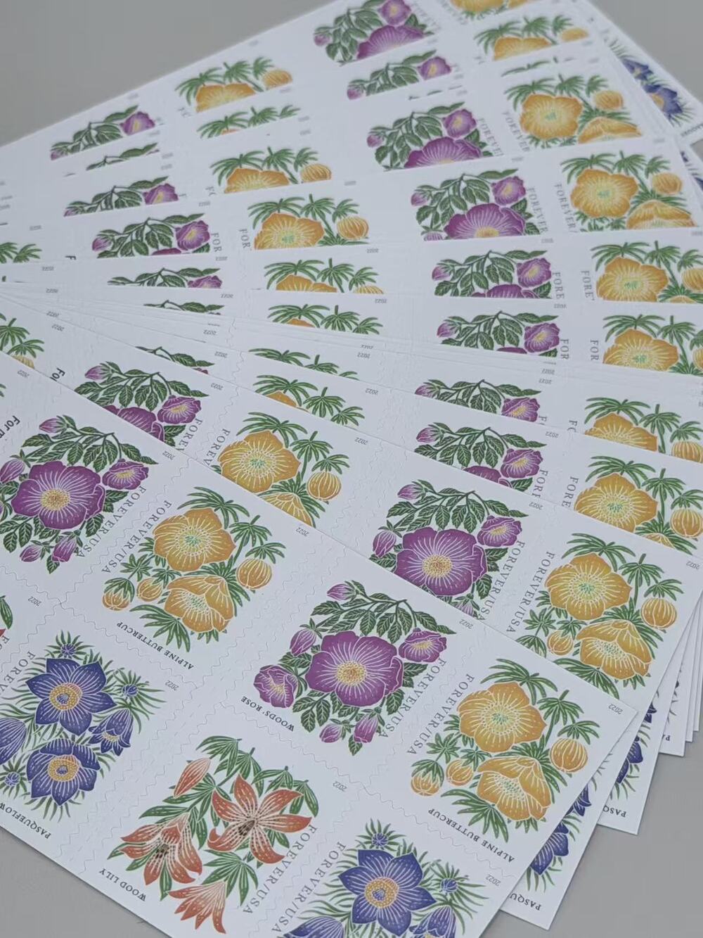 USPS Forever Mountain Wildflower Flora Postage Stamp Sheets 10 Books